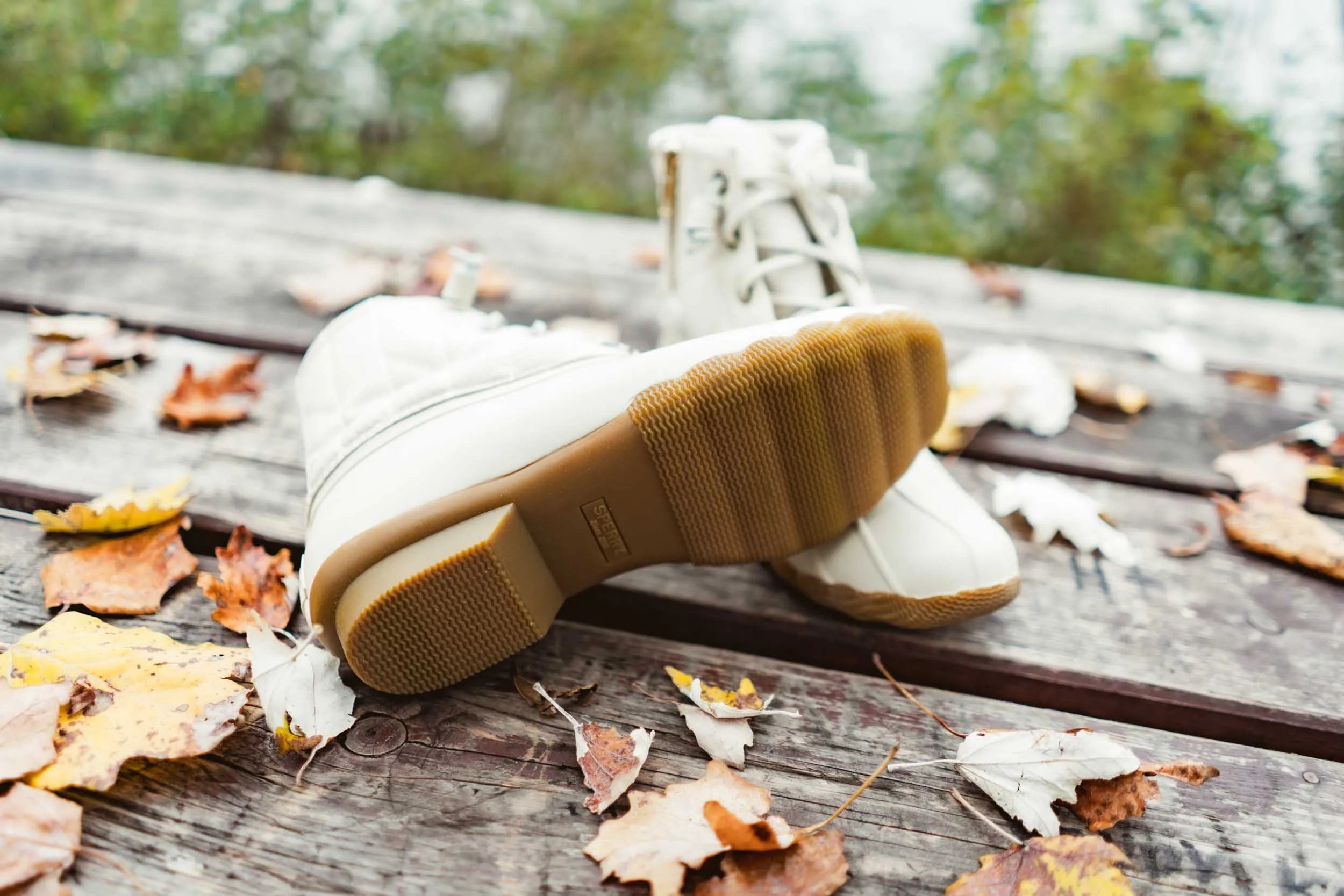 Kvinnors vinterstövlar Sperry WMS Saltwater Ivory 36