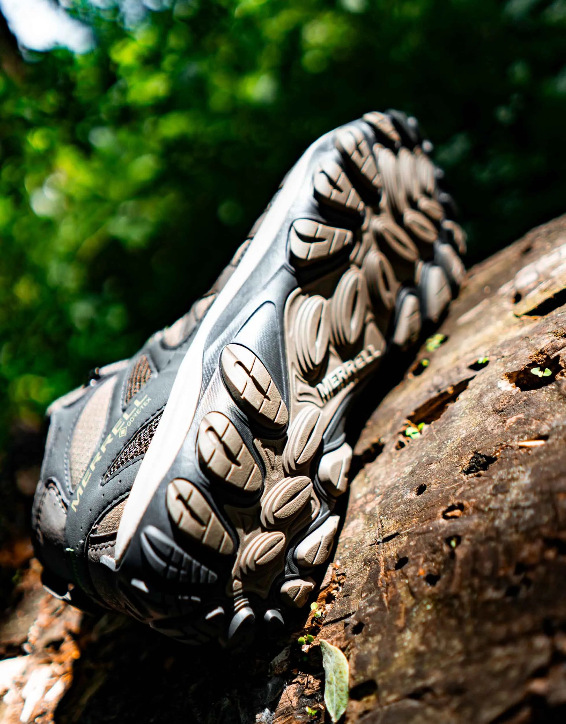 Merrell Men Accentor 3 Sport Mid GTX-Boulder 42