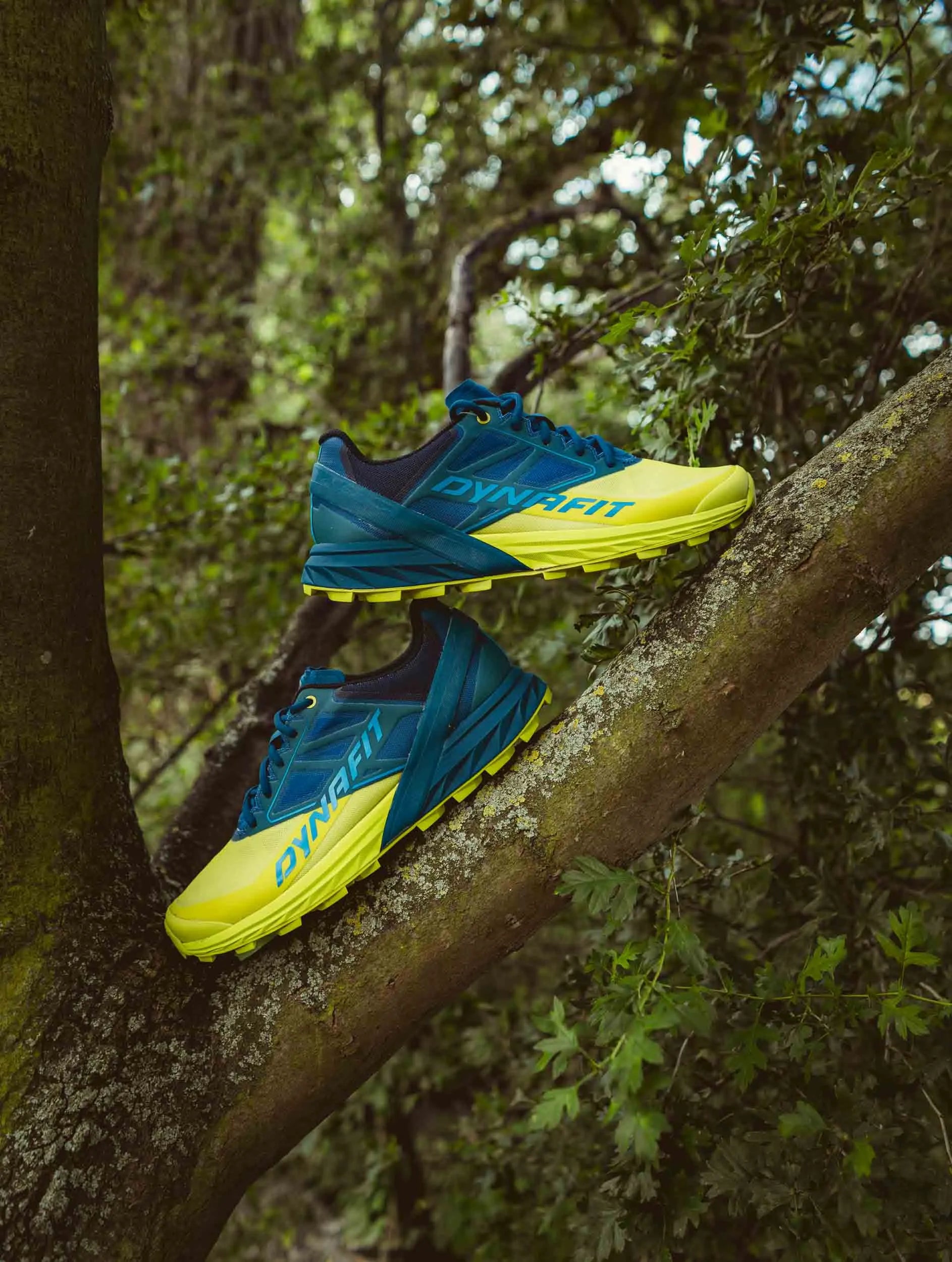 Buataisí Alpach na bhFear Dynacit - Fjord Limoen, Méid 42