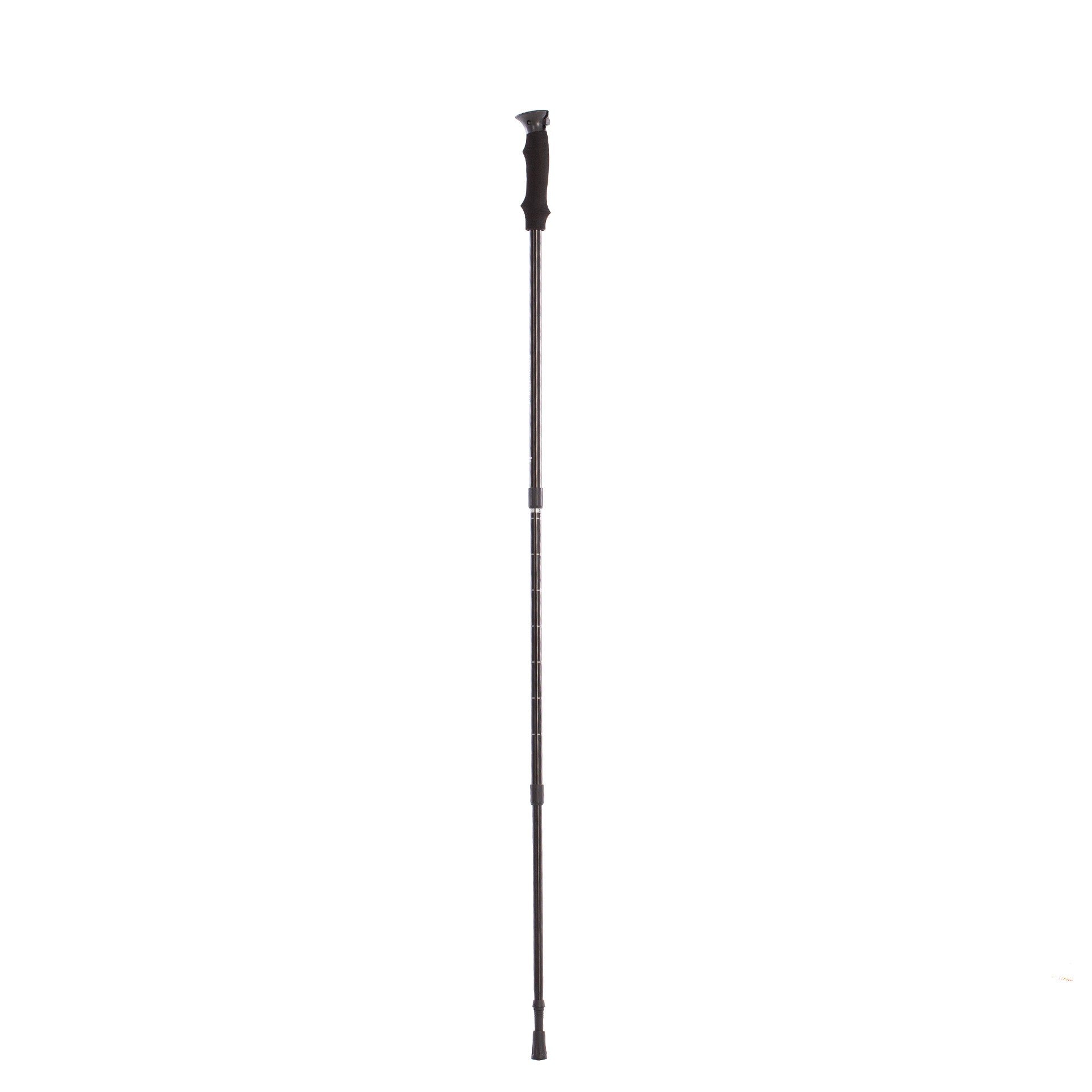 Trekking stick alpine