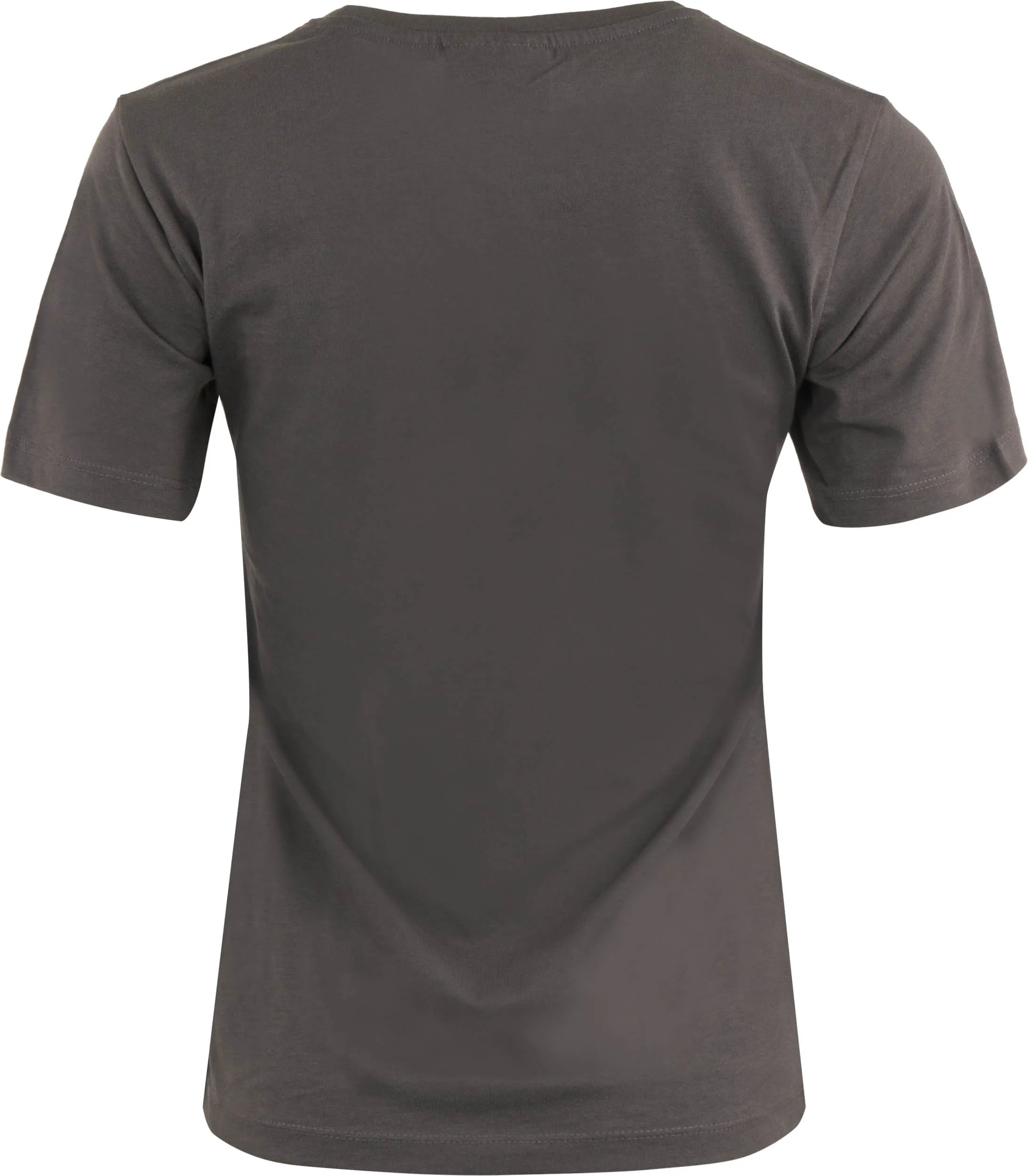 Tricou pentru femei Promodoro Premium-T gri deschis, S