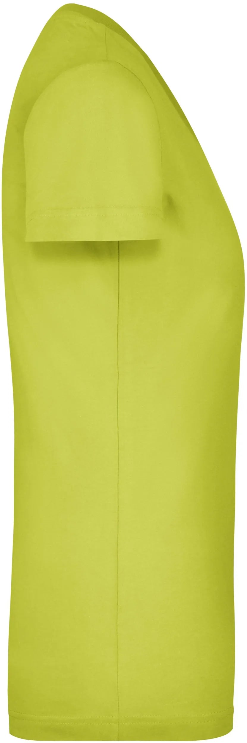 Women's t-shirt james & nicholson vintage shirt green s