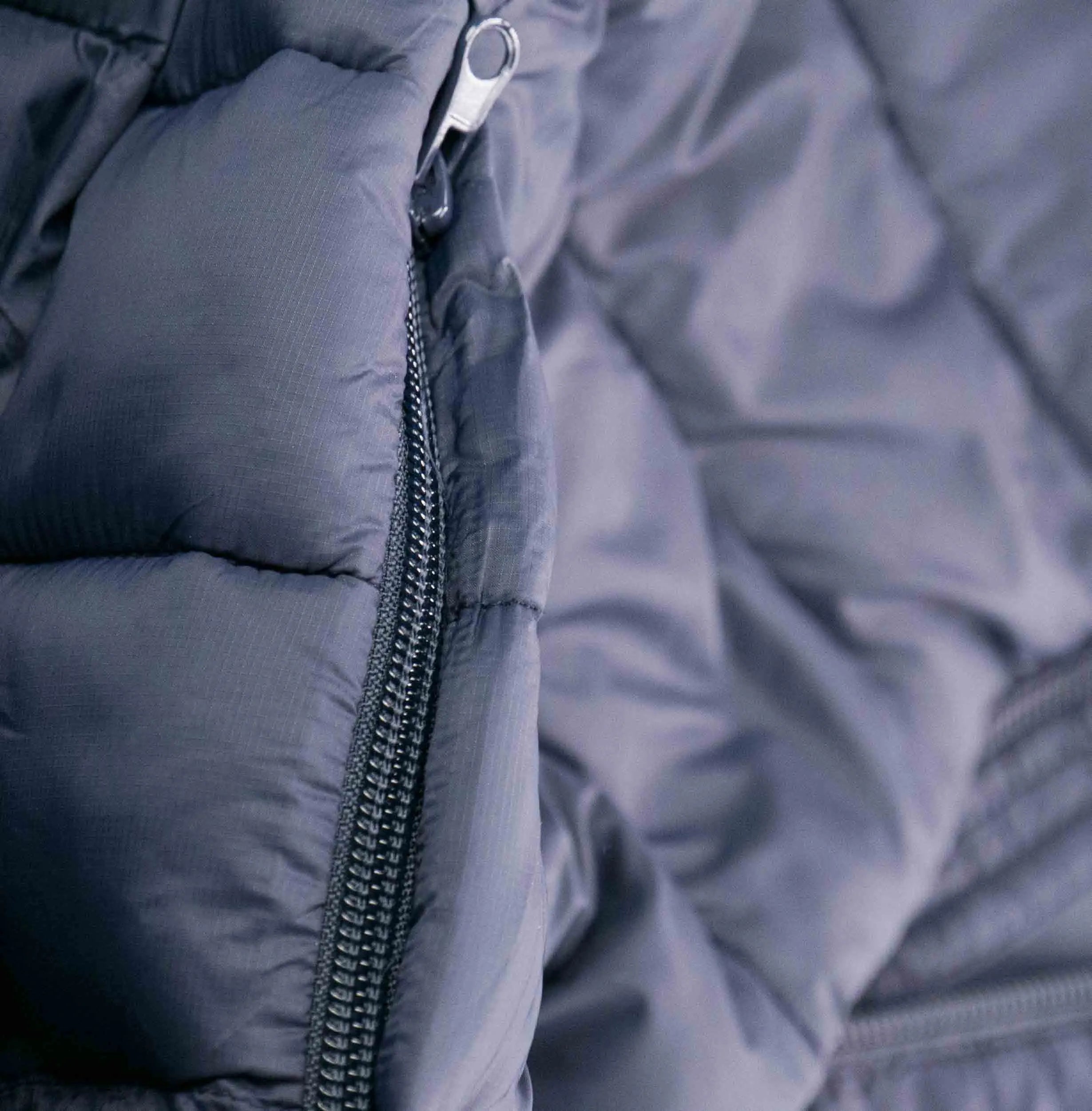 Oíche Codro Night Herenvest - galánta & compordach