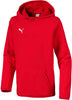 Children's Sweatshirt Puma Hooded Sweater 140