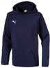 Children's Sweatshirt Puma Hooded Sweater 116