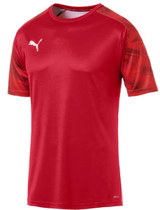 T-shirt Puma Cup Training Jersey, S