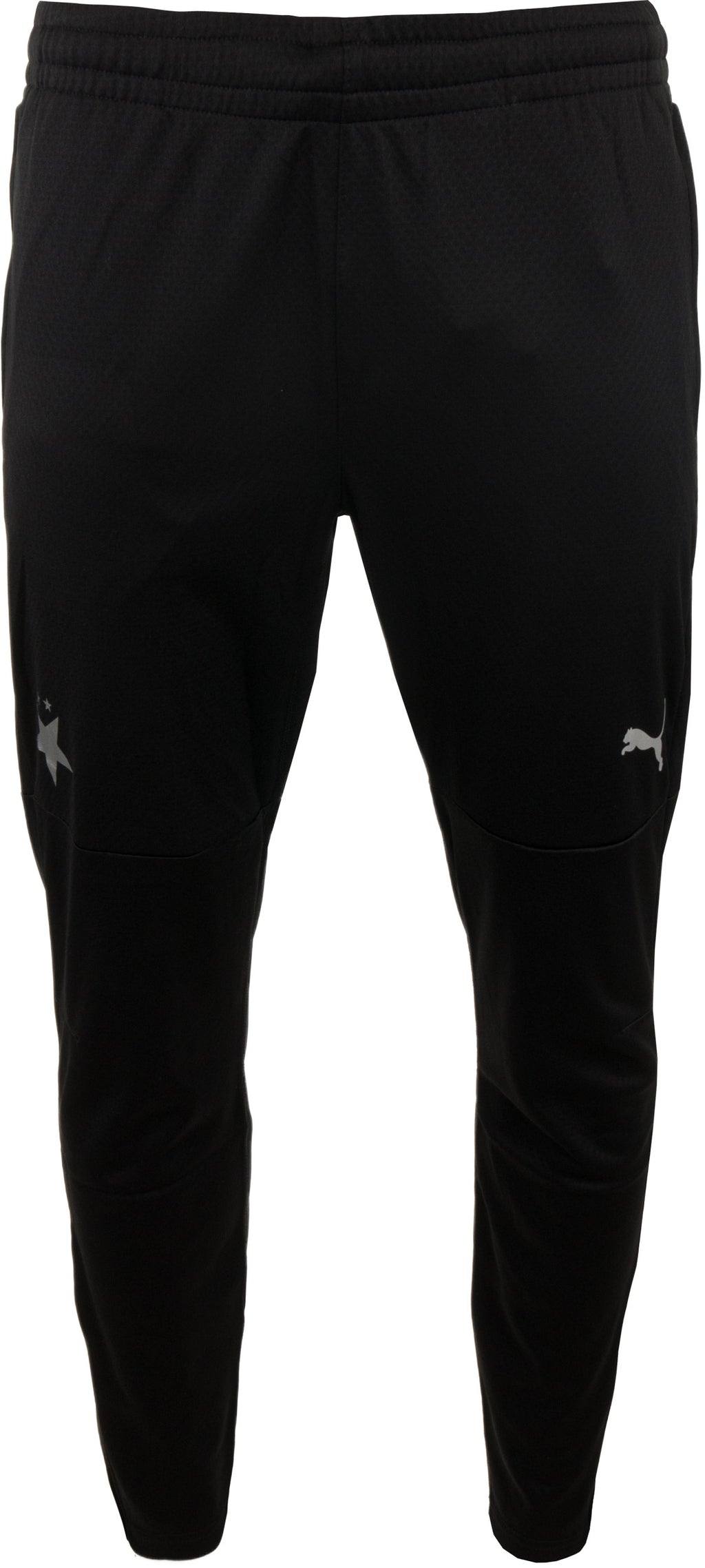 Men's Sweatpants Slavia Puma Teamfinal Training Pants, S