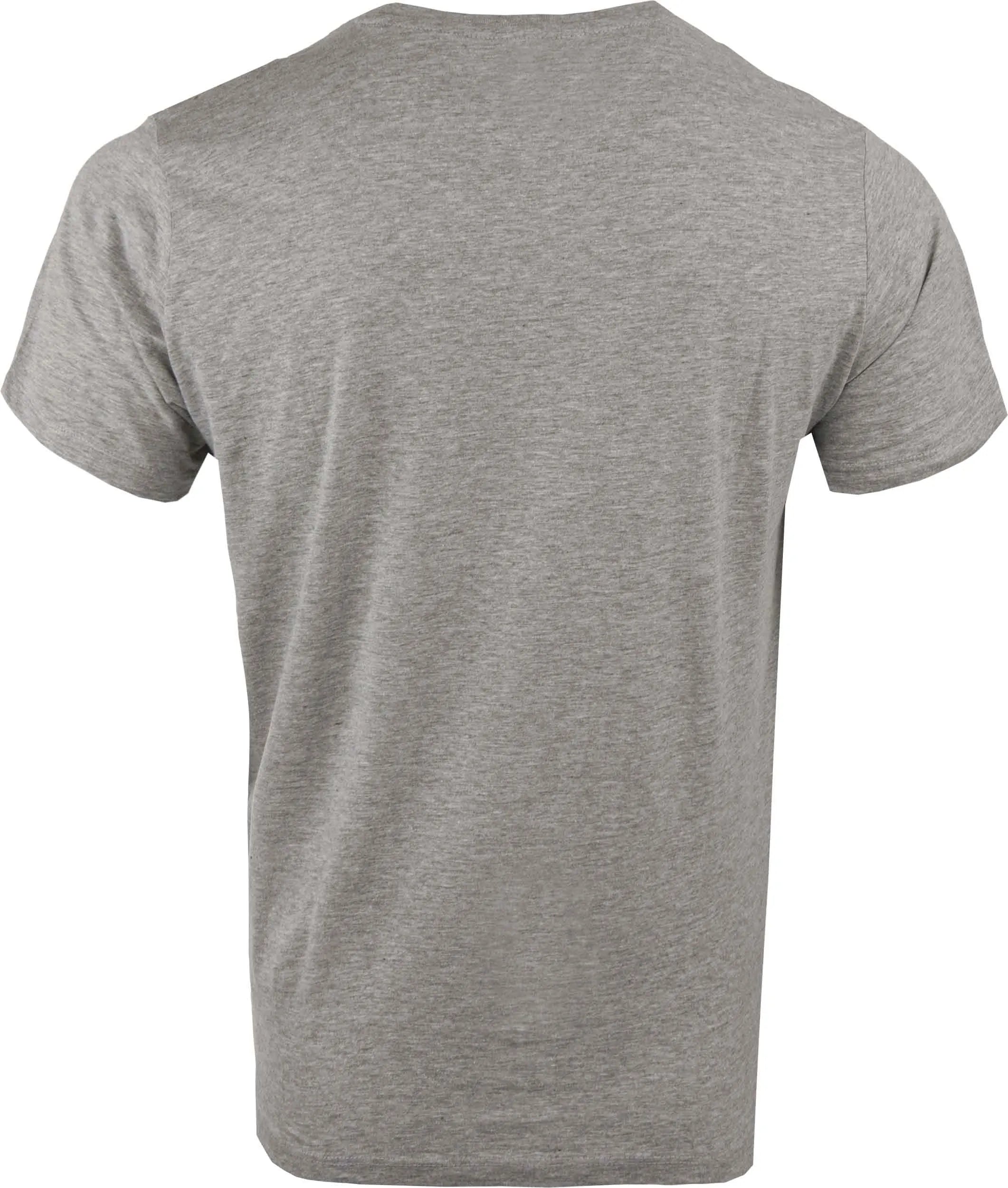 Heren t-shirt Athl. DPT Ontario Melange - Ademend Katoen