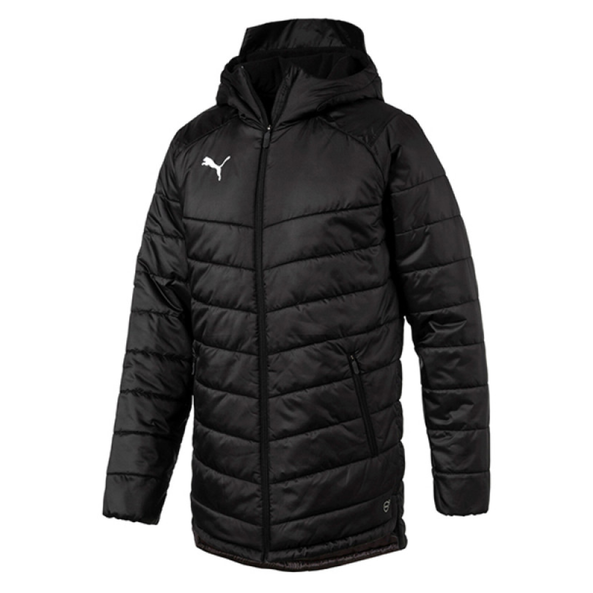 PUMA Liga Fir Dubh Jacket Geimhridh - Te & Feidhme