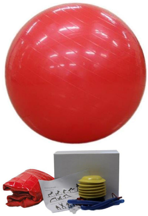 Gymnastics Ball 65cm With Pump