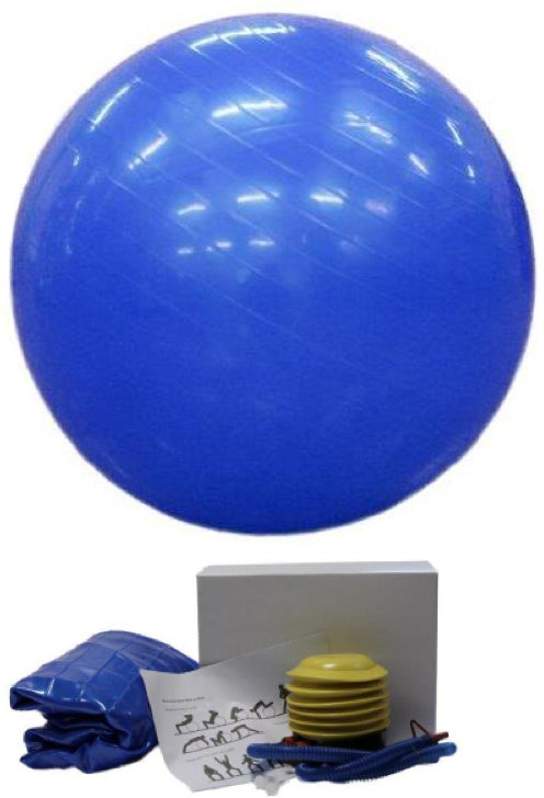 Gymnastics Ball 65cm With Pump