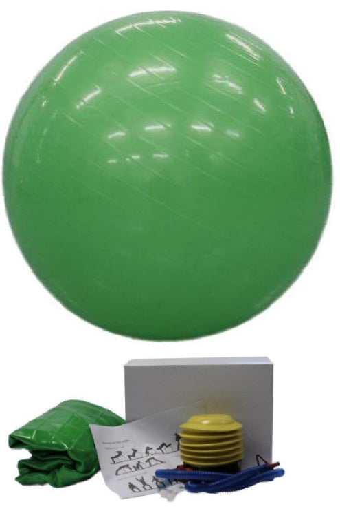 Gymnastics Ball 65cm With Pump