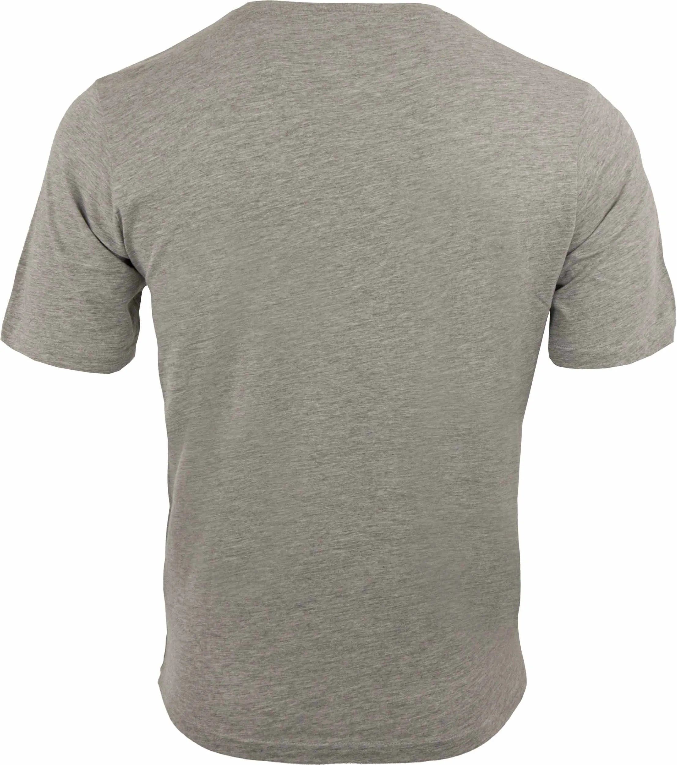 Men's t-shirt athl. dpt leone a5800 grey s