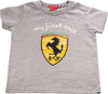 Children's T-shirt Ferrarari My First Rac Melange, 6-9