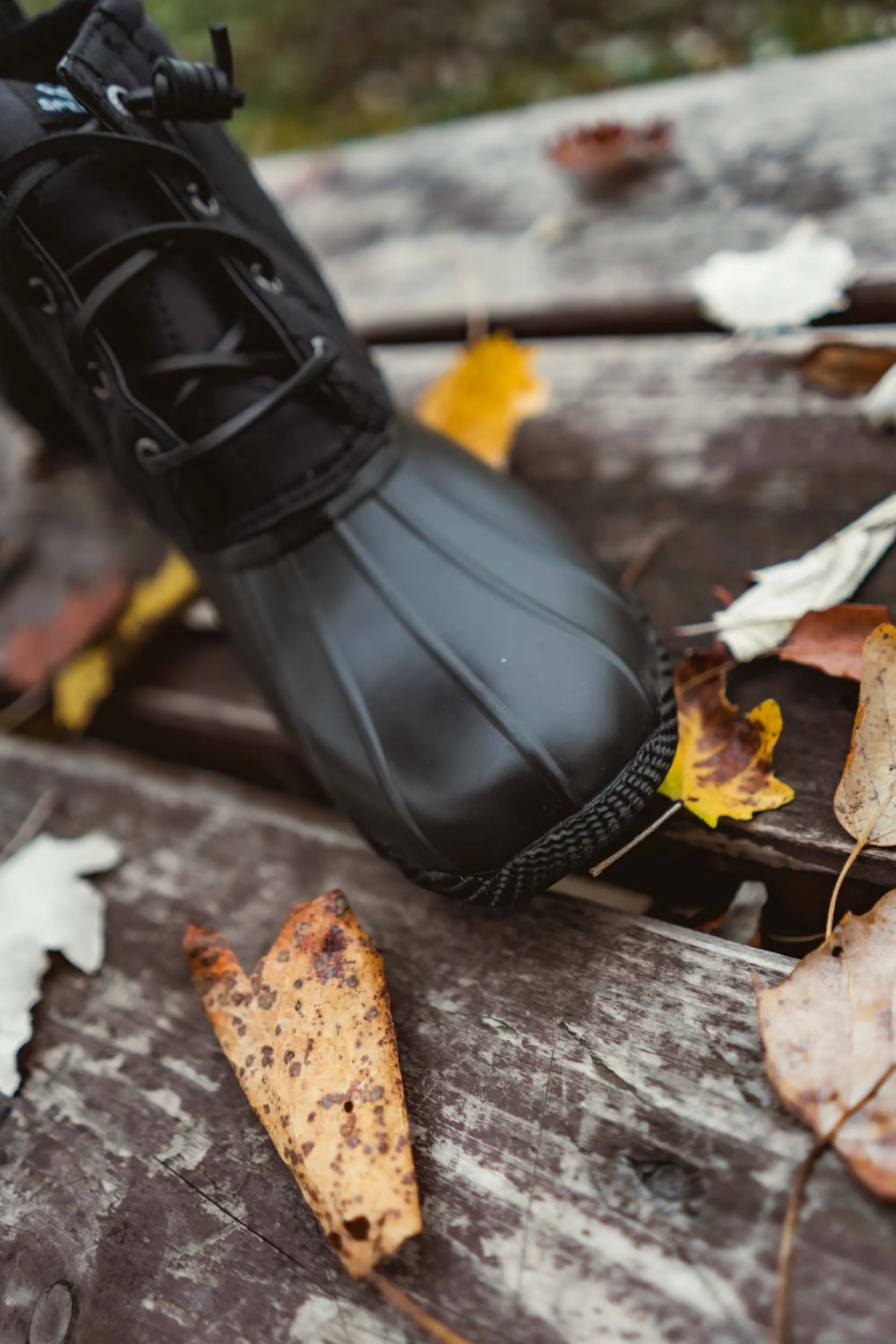 Stivali invernali da donna Sperry WMS Saltwater Black 37