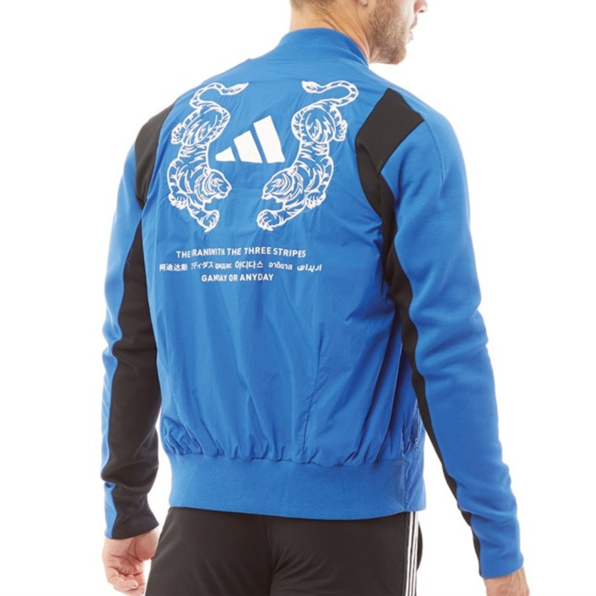 Adidas Atletica VRCT Tigre