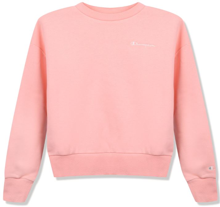 Women's Champion Pullover Sweater Pink, Xs