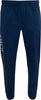 Alpine Pro Zaben L Men's Pants