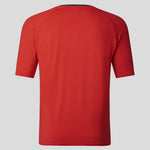 Red Bull 2023 Lifestyle T-shirt Red